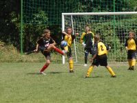 vza_6906.jpg