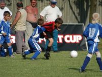 dsc_5617.jpg