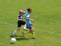 dsc_3031.jpg