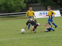 vza_9810.jpg