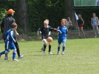 vza_6911.jpg