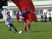 vza_0530.jpg