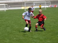 vza_0613.jpg
