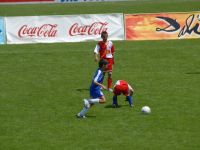 vza_0699.jpg