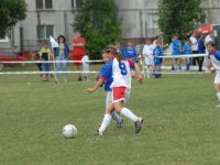 vza_9937.jpg
