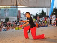 vzy_0827.jpg