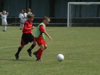dsc_2102.jpg