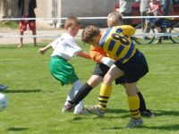 vza_5321.jpg
